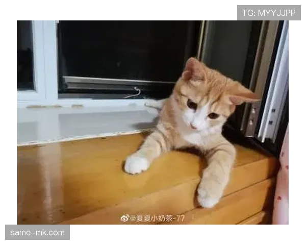 张琳芃家的狗吃的都比我一个月工资还贵